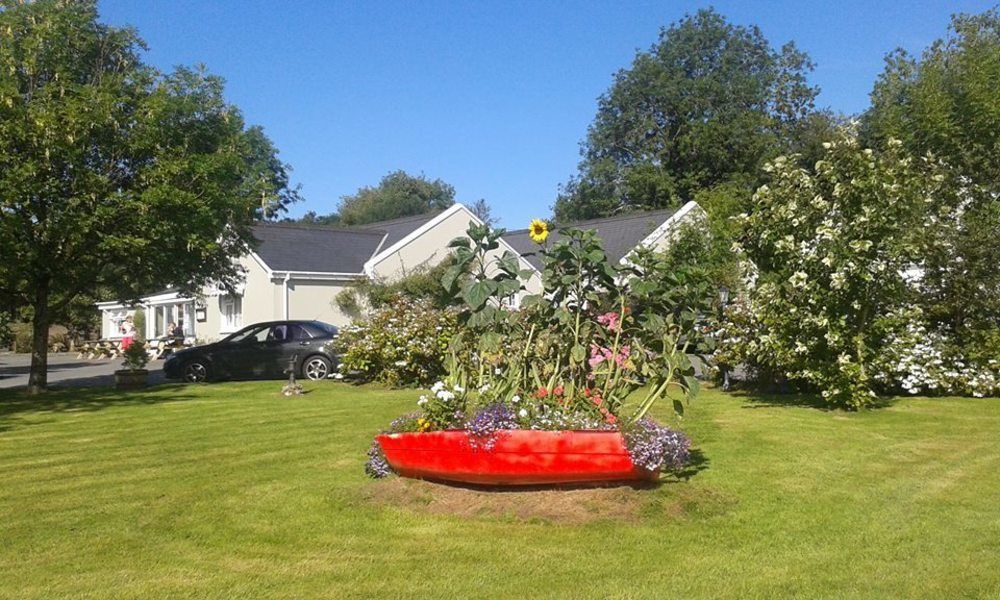The Rose Garden Bed & Breakfast And Cafe Kenmare Bagian luar foto