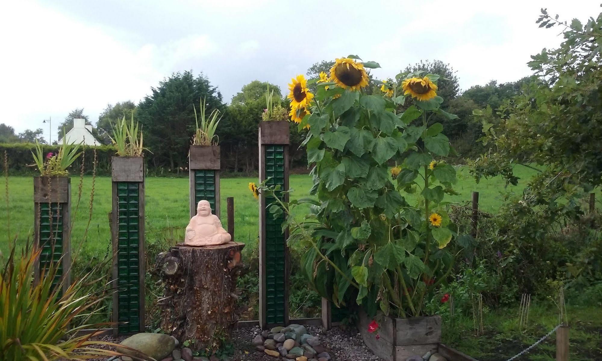 The Rose Garden Bed & Breakfast And Cafe Kenmare Bagian luar foto